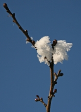 Winterimpressionen 047.jpg